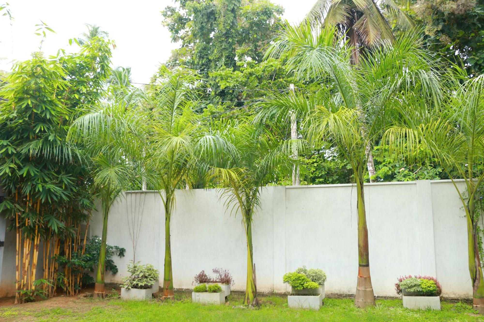 Venus Heaven Luxurious Villa Tangalle Exteriér fotografie