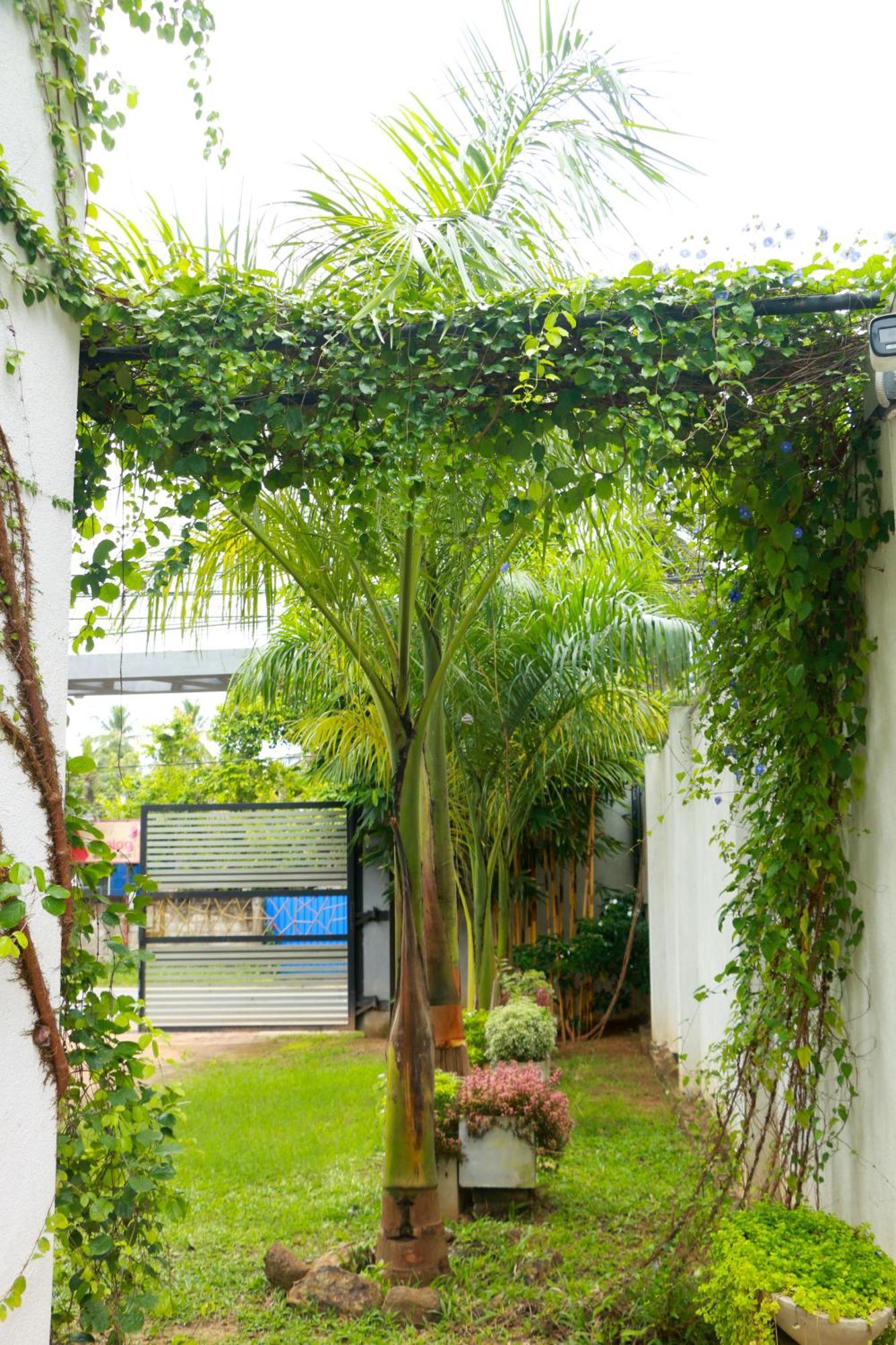 Venus Heaven Luxurious Villa Tangalle Exteriér fotografie